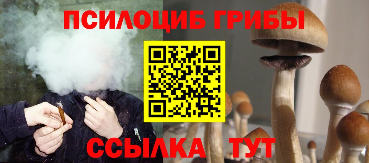 Галлюциногенные грибы прущие грибы Малгобек